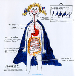 Illustration de Nina Blychert