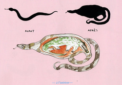Illustration de Nina Blychert
