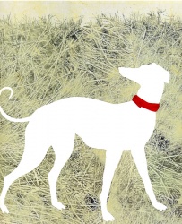 Illustration d'Elzbieta