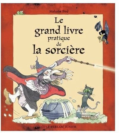 Le grand livre pratique de la sorcière en 10 leçons