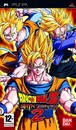 Dragon Ball Z Shin Budokai 2 - Test
